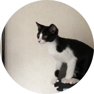 プロフィール写真